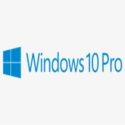 Windows 10 Pro Kategorisi