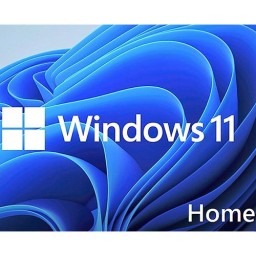 Windows 11 Home Kategorisi
