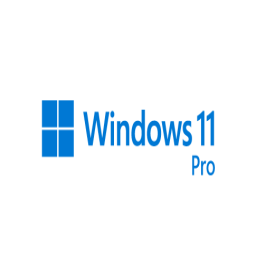 Windows 11 Pro Kategorisi